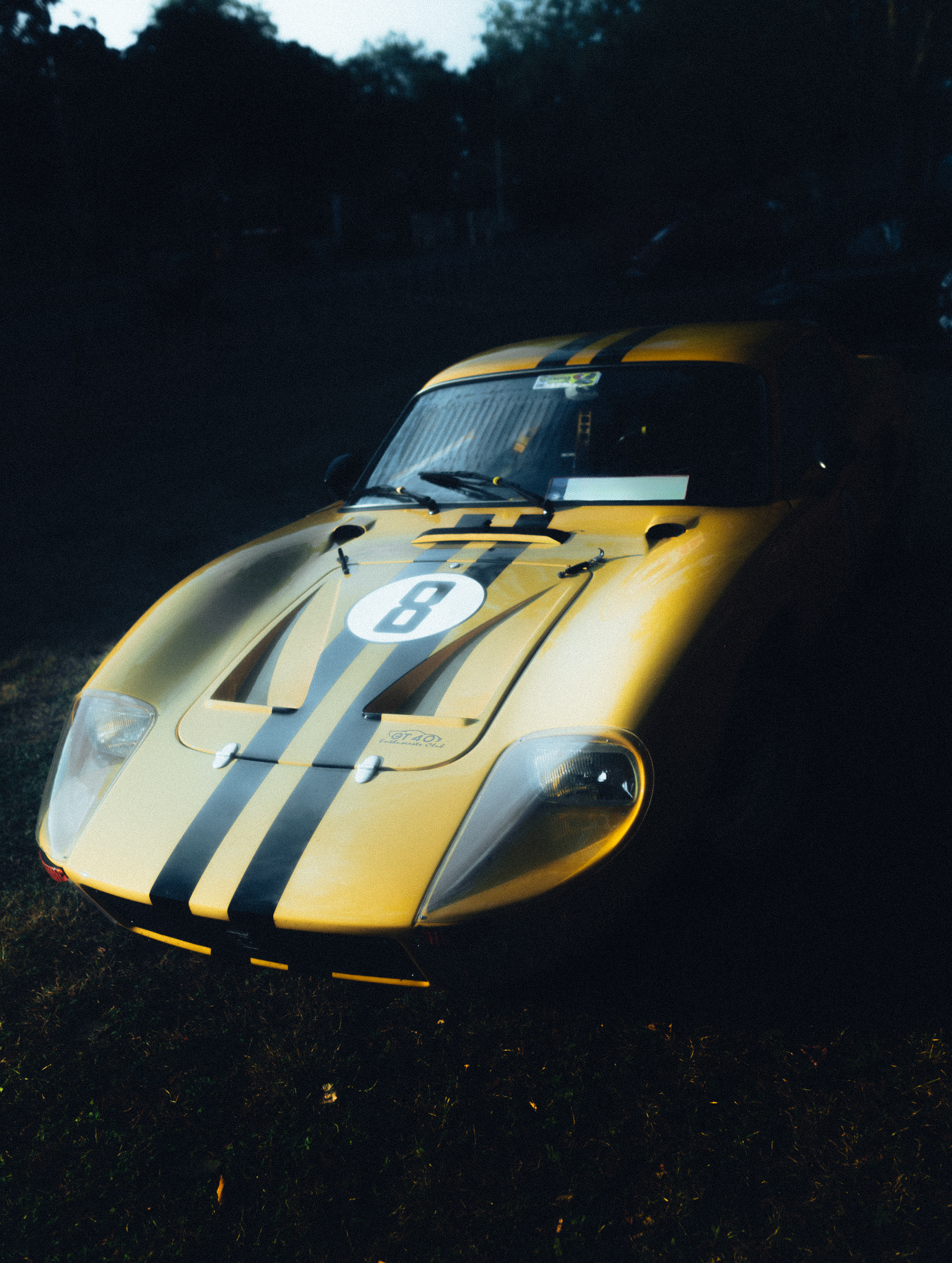 Porsche & VW Treffen