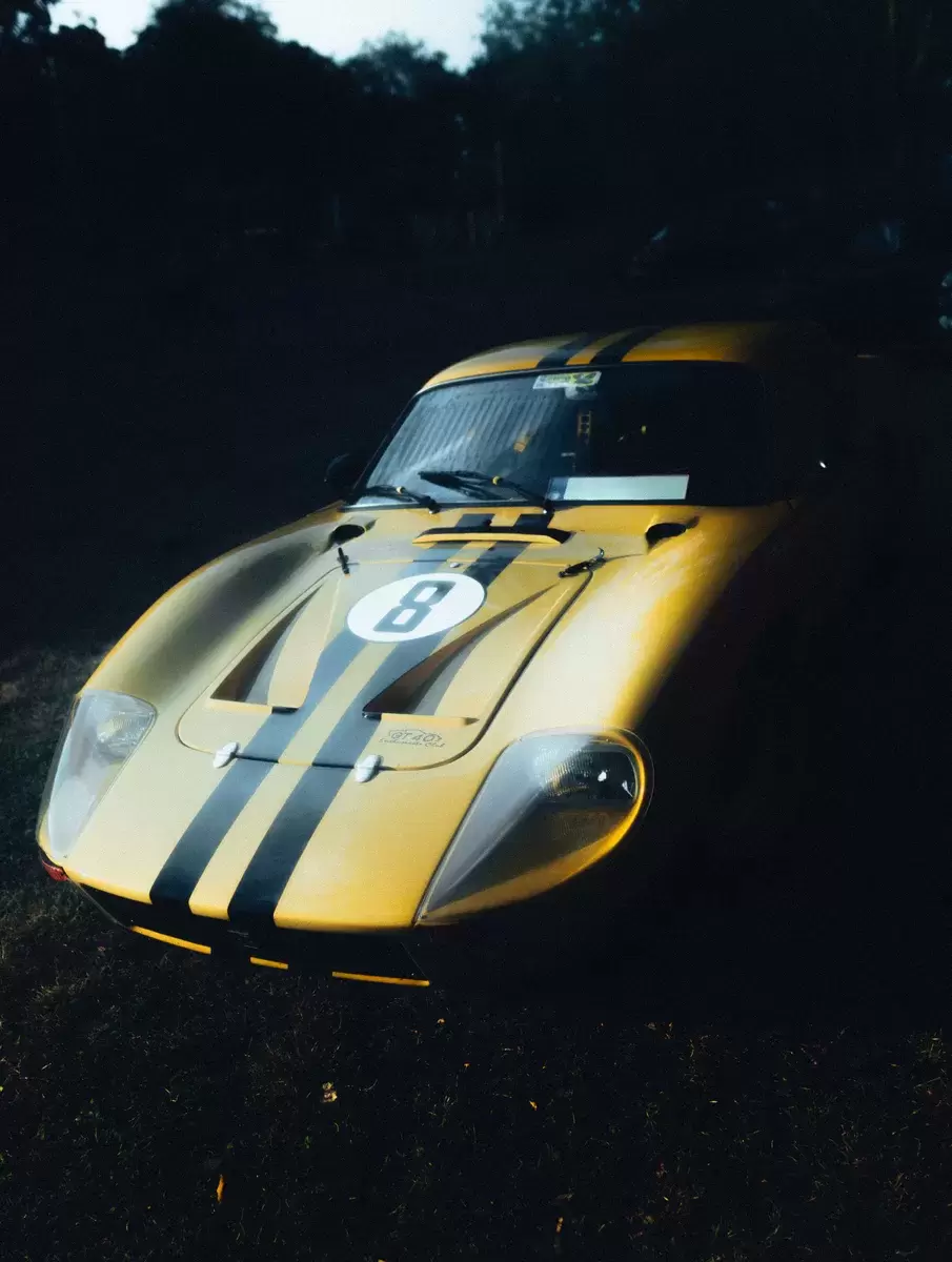 Porsche & VW Treffen